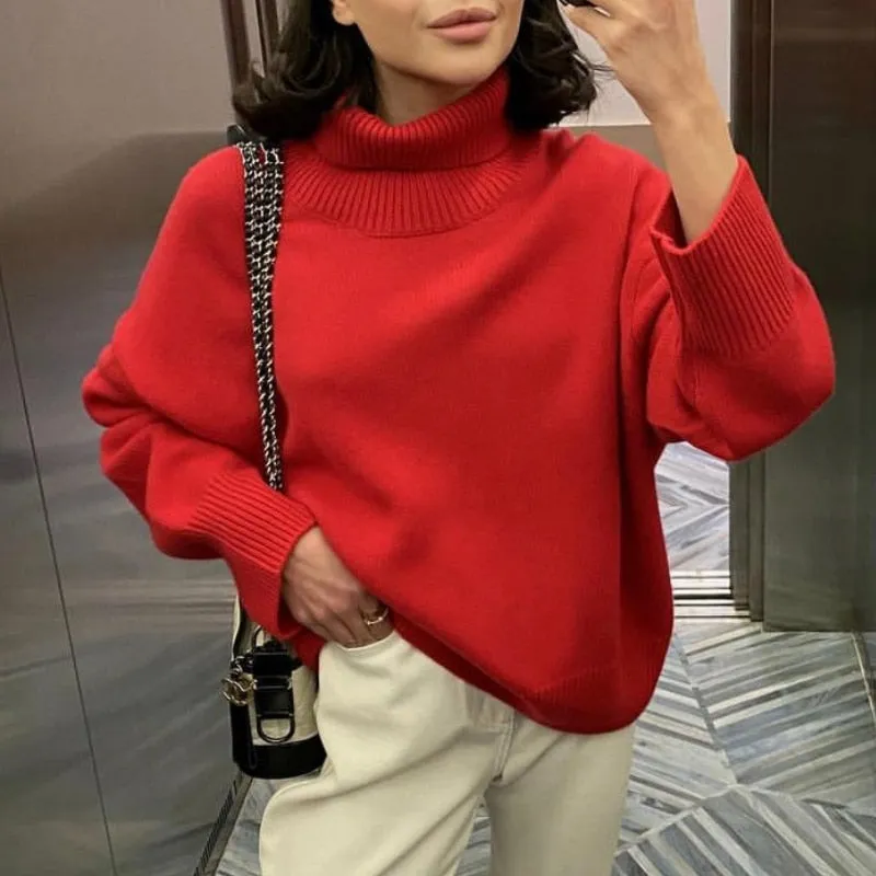 Elegant Turtle Neck Sweater