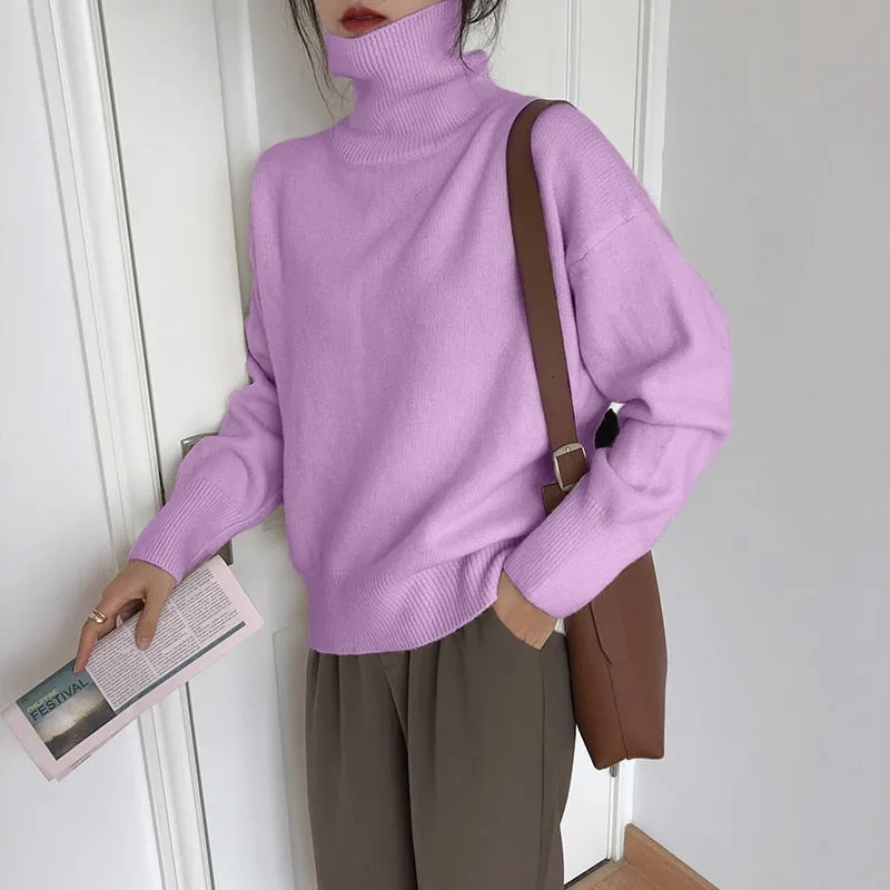 Elegant Turtle Neck Sweater